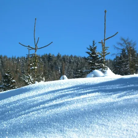 Дом отдыха Stubaiblick *